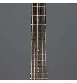 Ibanez AAM380CE-NT