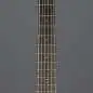 Ibanez AAM380CE-NT