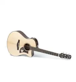 Ibanez AAM380CE-NT