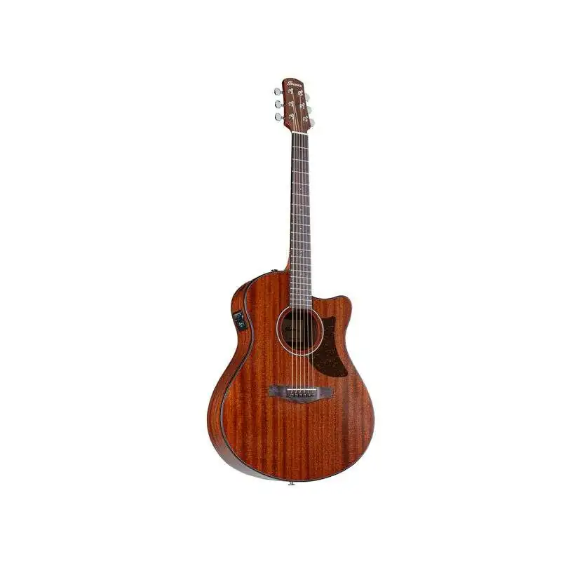 Ibanez AAM54CE-OPN Ibanez AAM54CE-OPN