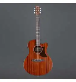 Ibanez AAM54CE-OPN