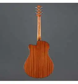 Ibanez AAM54CE-OPN