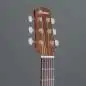 Ibanez AAM54CE-OPN Ibanez AAM54CE-OPN