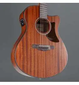 Ibanez AAM54CE-OPN