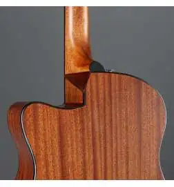 Ibanez AAM54CE-OPN