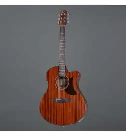 Ibanez AAM54CE-OPN