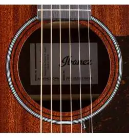 Ibanez AAM54CE-OPN