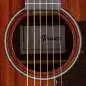 Ibanez AAM54CE-OPN Ibanez AAM54CE-OPN