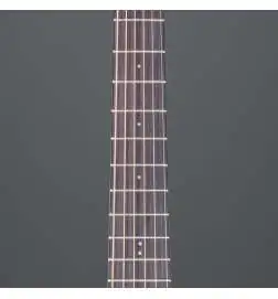 Ibanez AAM54CE-OPN