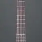 Ibanez AAM54CE-OPN Ibanez AAM54CE-OPN