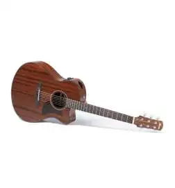 Ibanez AAM54CE-OPN