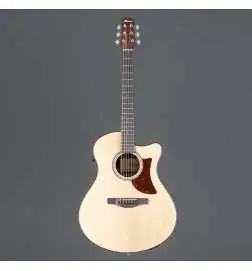 Ibanez AAM50CE-OPN