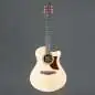 Ibanez AAM50CE-OPN