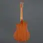Ibanez AAM50CE-OPN