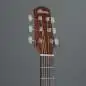 Ibanez AAM50CE-OPN