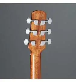 Ibanez AAM50CE-OPN