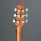 Ibanez AAM50CE-OPN