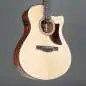 Ibanez AAM50CE-OPN