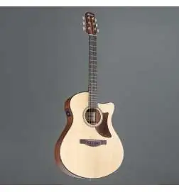 Ibanez AAM50CE-OPN