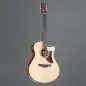 Ibanez AAM50CE-OPN