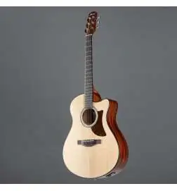 Ibanez AAM50CE-OPN