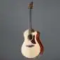Ibanez AAM50CE-OPN
