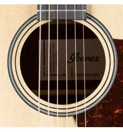 Ibanez AAM50CE-OPN
