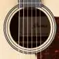Ibanez AAM50CE-OPN