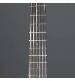 Ibanez AAM50CE-OPN