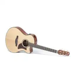 Ibanez AAM50CE-OPN