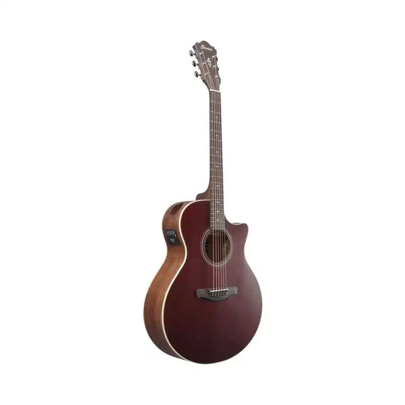 Ibanez AE100-BUF