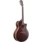 Ibanez AE100-BUF