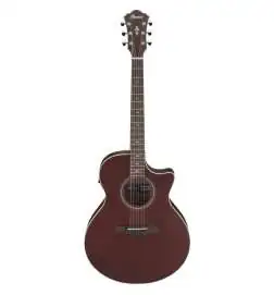 Ibanez AE100-BUF