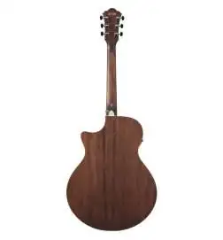 Ibanez AE100-BUF