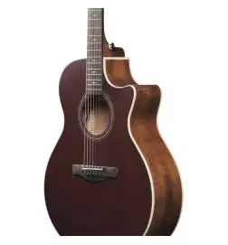 Ibanez AE100-BUF