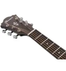 Ibanez AE100-BUF