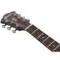 Ibanez AE100-BUF