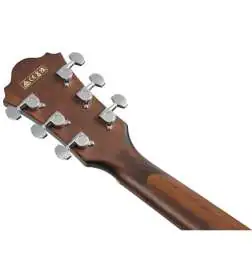 Ibanez AE100-BUF