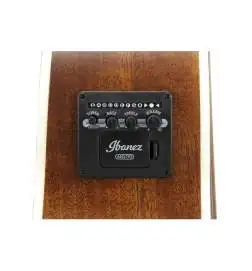 Ibanez AE100-BUF