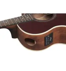 Ibanez AE100-BUF