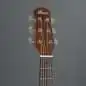 Ibanez AAM70CE-TBN Ibanez AAM70CE-TBN
