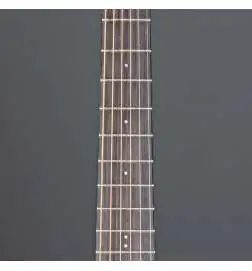 Ibanez AAM70CE-TBN