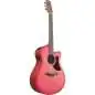 Ibanez AAM50CE-CRO