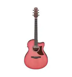 Ibanez AAM50CE-CRO