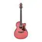 Ibanez AAM50CE-CRO