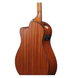 Ibanez AAM50CE-CRO