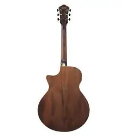 Ibanez AE100-DBF