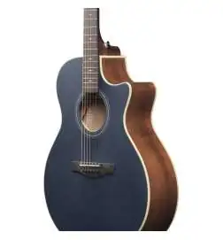 Ibanez AE100-DBF