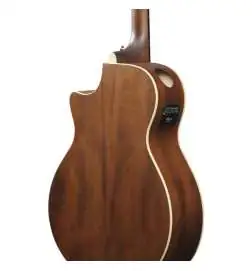 Ibanez AE100-DBF