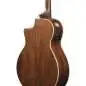Ibanez AE100-DBF